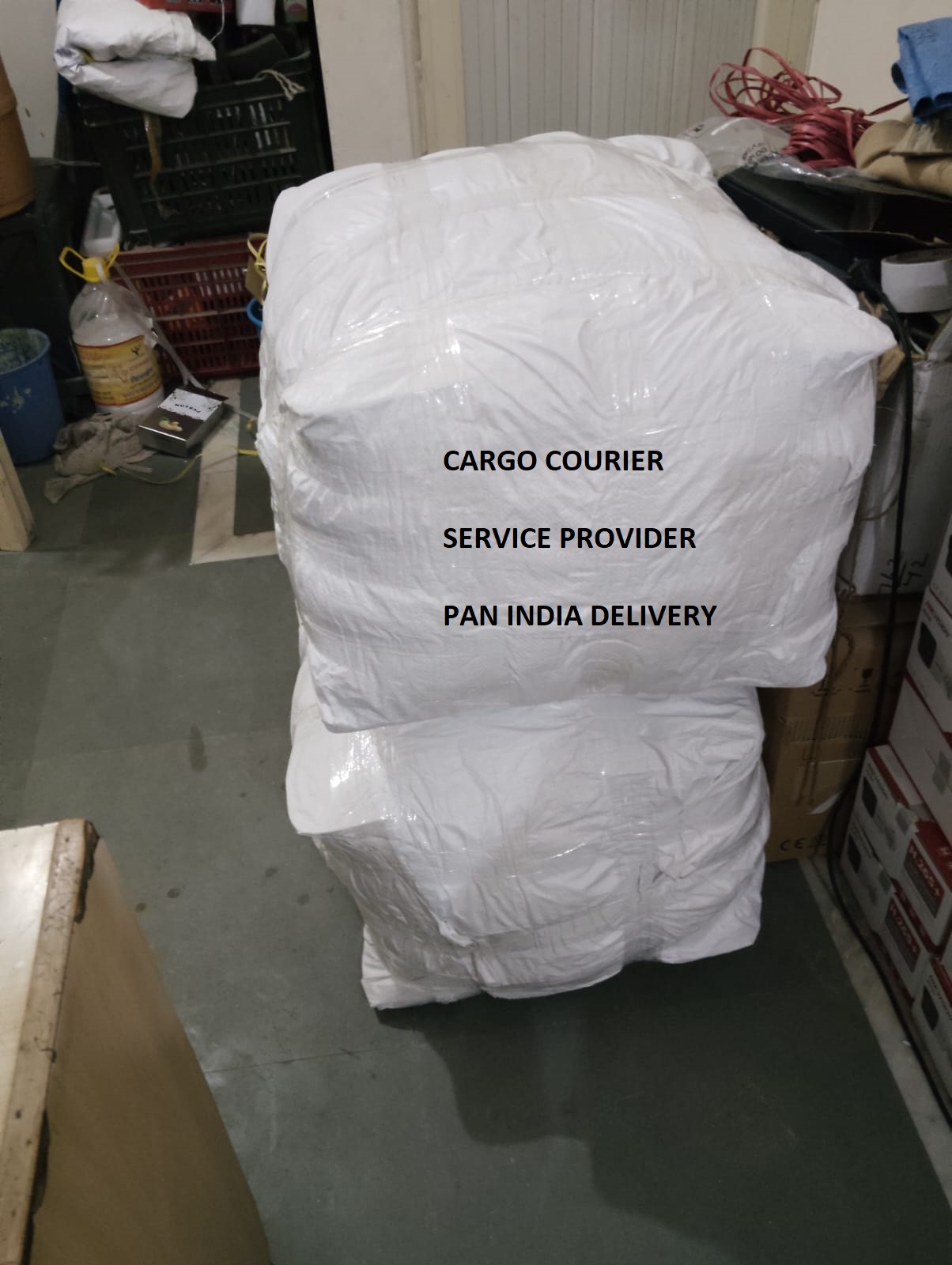 Domestic Parcel Delivery Service